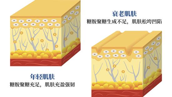 图源视觉中国,制作于可画