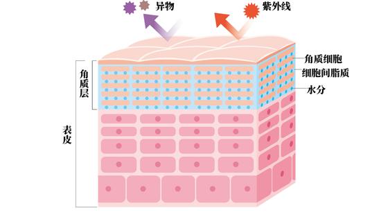 图源视觉中国,制作于可画
