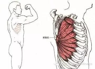 下面就给小伙伴们