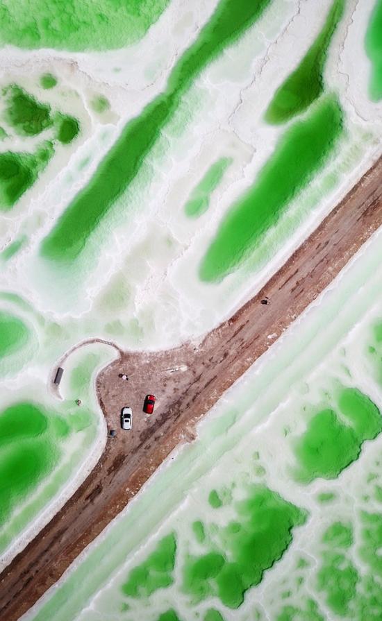 图:@胡桃侠子