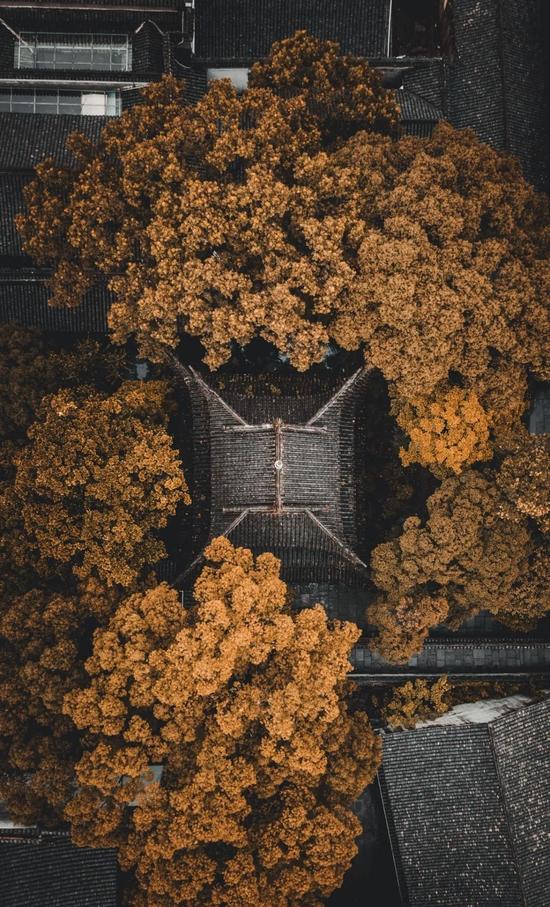 @图虫创意