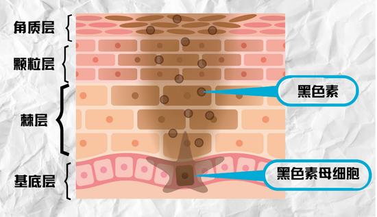 cr:图虫创意,制图于canva