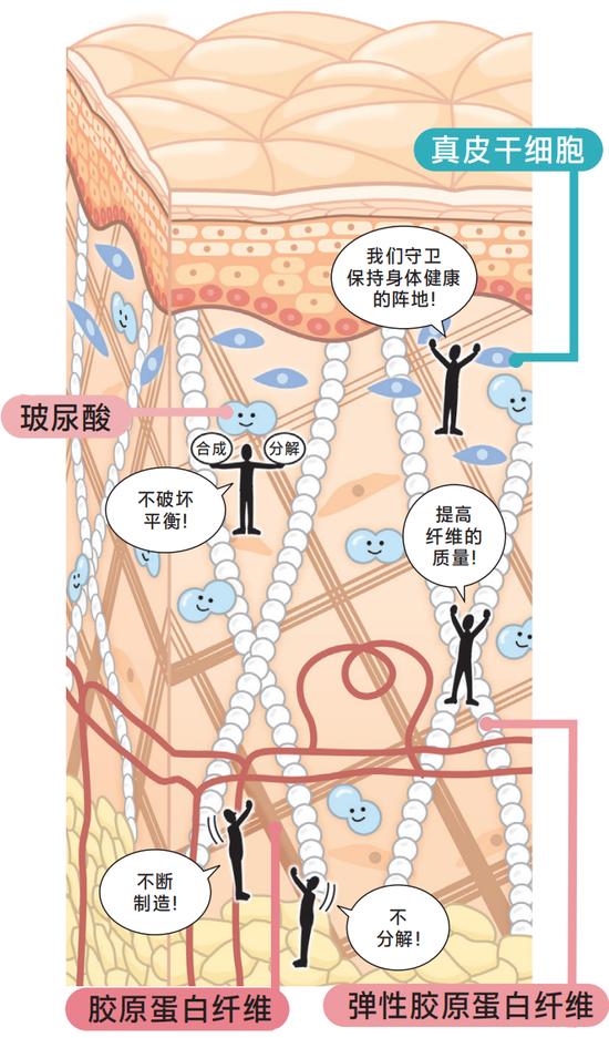 年龄增长和紫外线损伤肌肤 教你如何预防深层皱纹