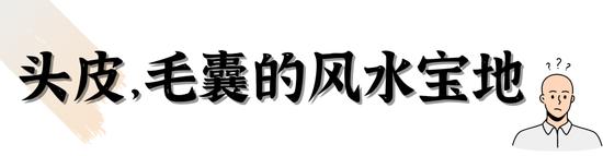 字体素材均来源于Canva
