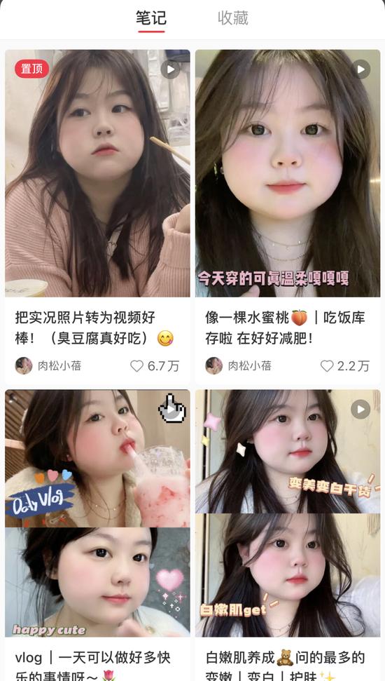 图源:小红书@肉松小蓓
