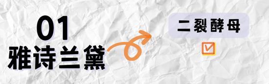 字体素材均来源于Canva(下同)
