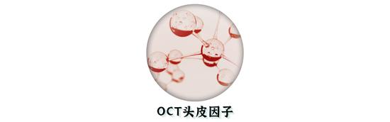 cr:官方、canva(下同)