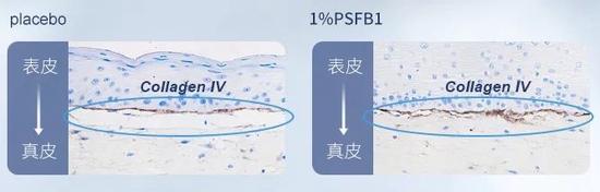 cr:官方(下同)