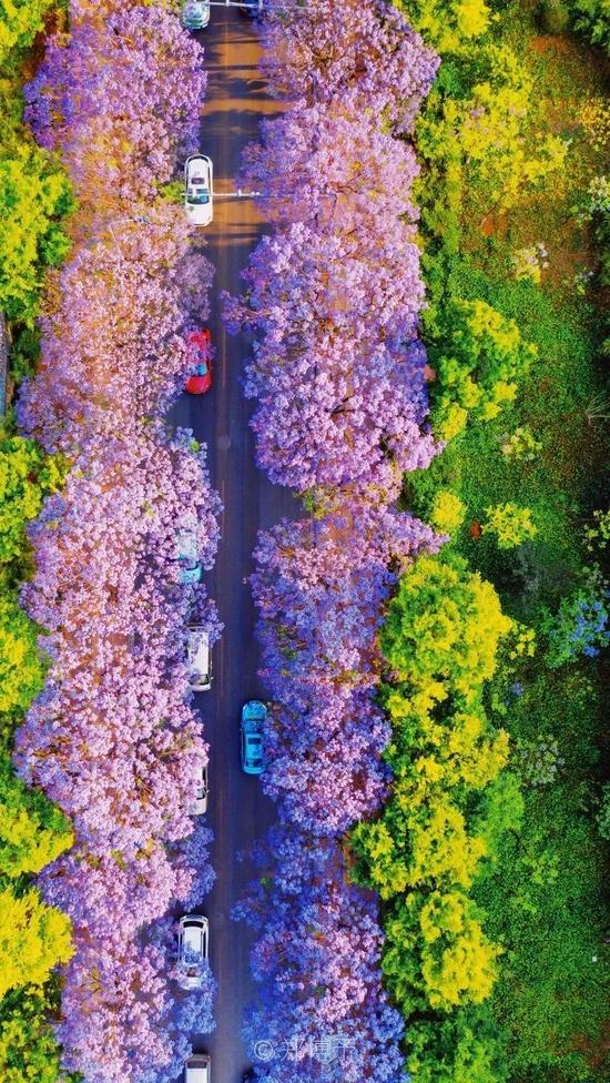 花谢花飞花满天