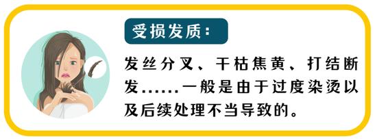 制作于canva