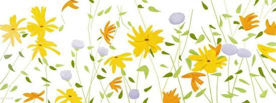 Summer Flowers, 2018