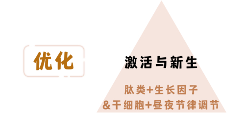 cr:canva制作