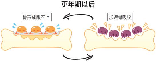 长期缺乏运动 3种肌肉锻炼塑造强健骨骼！