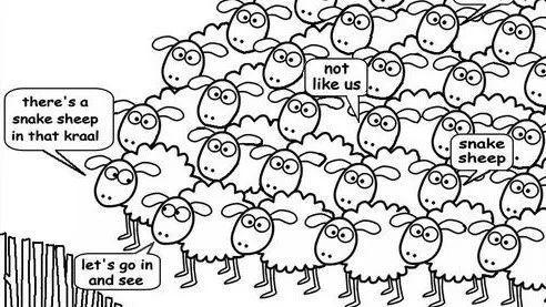 Herd Behavior 羊群效应(图片来源:fbnotify)