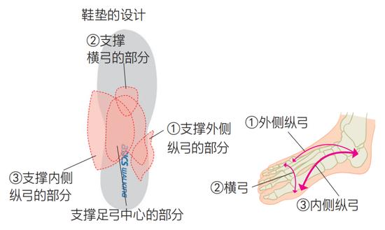 缺乏运动人群必看！正确的步行方式可以增加肌肉