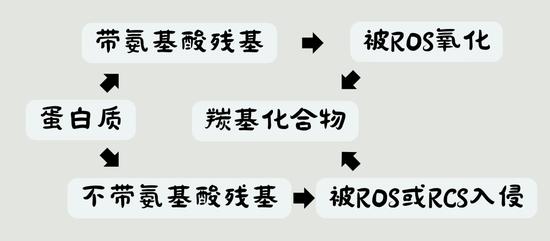 过冬四件套？肌肤抗糖人婉拒了哈！