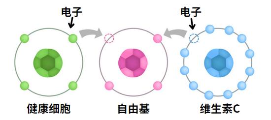 图源:图虫创意 制作:Canva