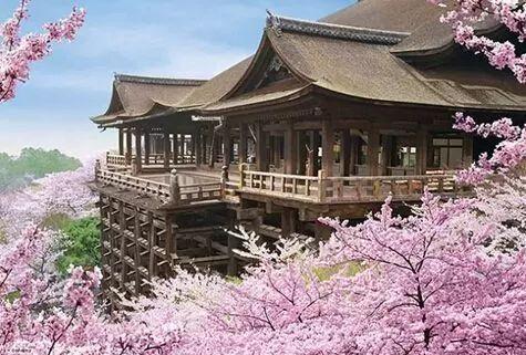 从京都到奈良，时尚新娘寻找樱花之旅