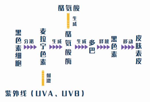 cr:本账号,图片制作来自canva