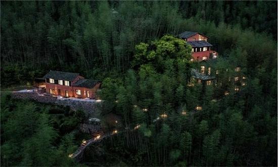 桃野