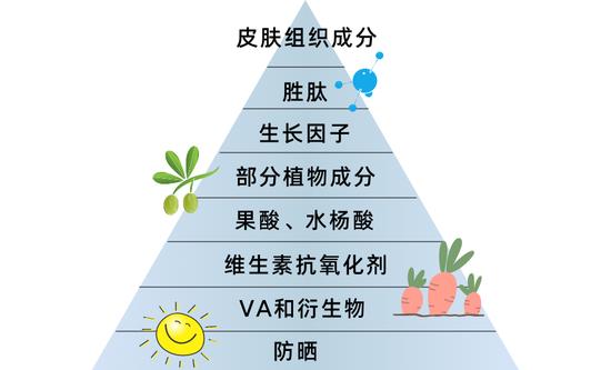 制作于canva(下同)