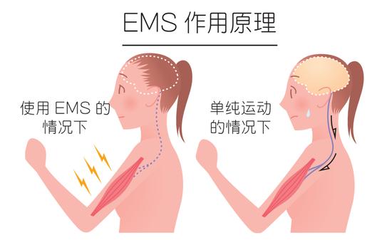 简单的5秒钟动作！收紧小腹拉伸