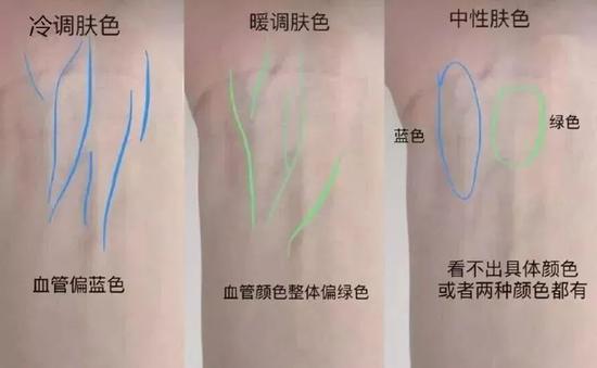 (图源来自网络)