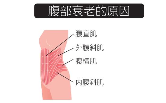 简单的5秒钟动作！收紧小腹拉伸