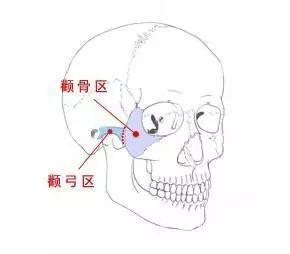脸型
