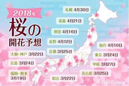 樱花时间表,图片来源于Qnews网站。