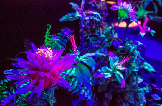 米兰达·莫斯,《含羞的植物》,2019,综合材料,尺寸可变,特别委托创作作品