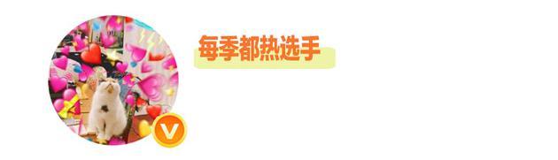 每季都热选手