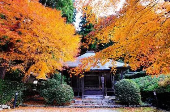 Photo by 康布雷沙 via Flickr