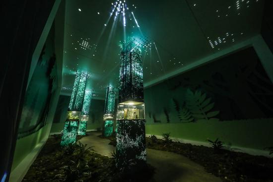 光影森林与植物学家探索种子精华秘密的微景观结合,展示发芽种子的生命力