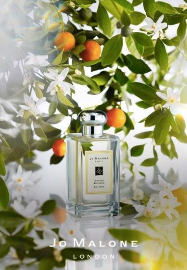 Jo Malone罗勒与橙花香氛