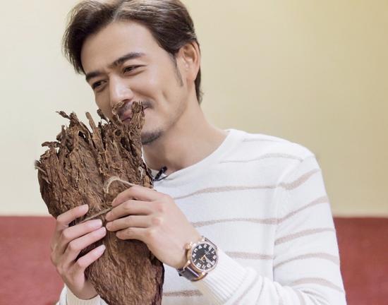 杨烁佩戴真力时飞行员系列 Type 20 Cohiba 马杜罗5号玫瑰金特别版腕表