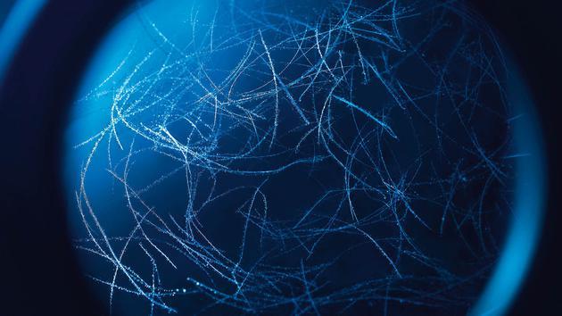 (碧欧泉独家成分益生微生物发酵物)