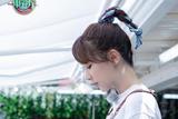 ϵġ黨衱 ˿°