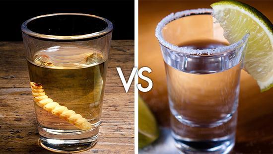 特基拉(Tequila)VS.梅斯卡尔(Mezcal)