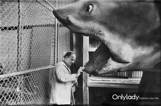 19. JAWS(1975)