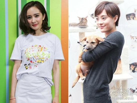 杨幂,孙俪休闲装