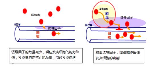 净化•还原肌肤澄澈之美