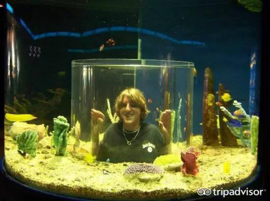 田纳西水族馆 美国