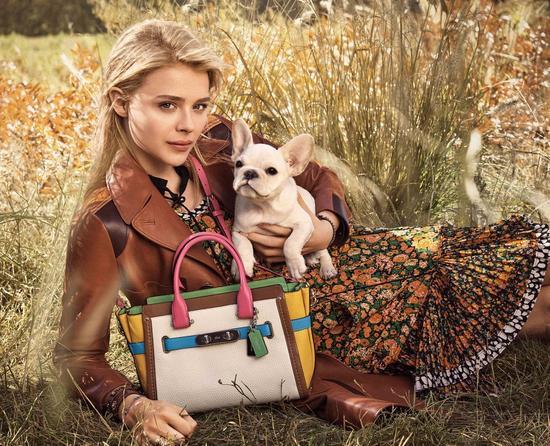 Coach 广告Chloë Grace Moretz