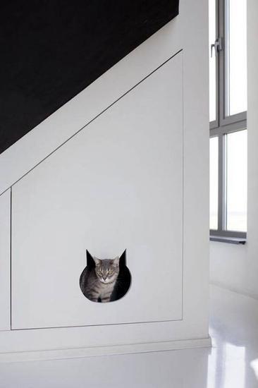 隐藏的猫厕