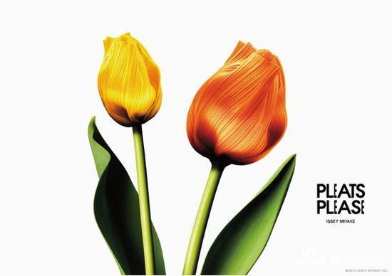 Pleats Please 3
