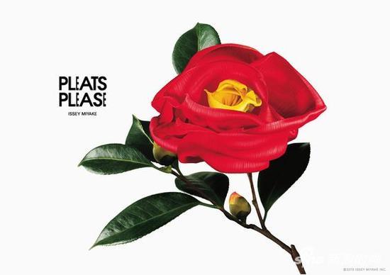 Pleats Please 5