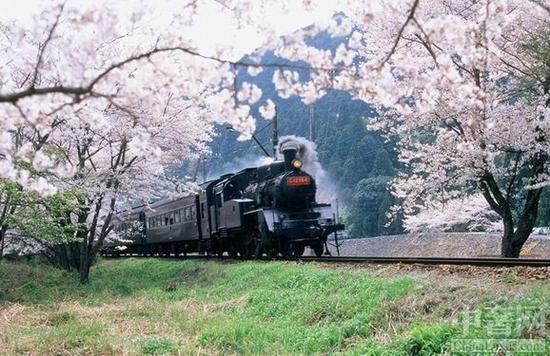 “SAKURA”(樱花)专门列车