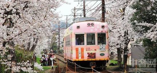 京都岚电樱电车