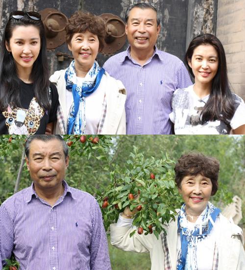 李冰冰